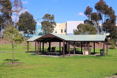 Johnstone St Reserve