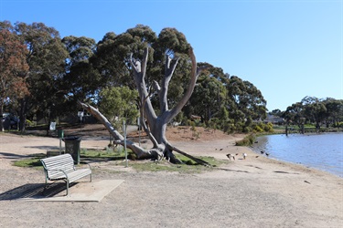 Spavin Drive Reserve