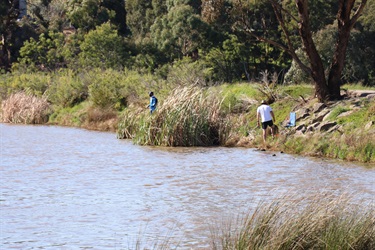 Spavin Drive Reserve