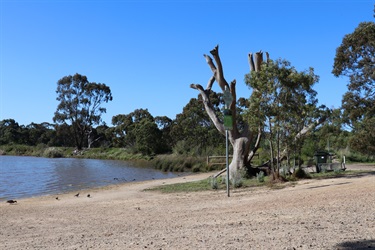 Spavin Drive Reserve