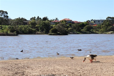 Spavin Drive Reserve