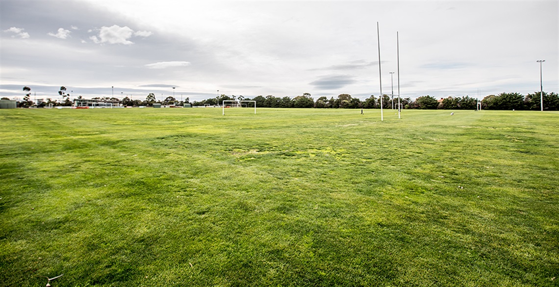 Open expanse of sporting fields