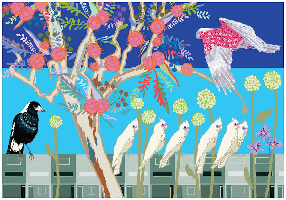 Artwork by Lisa Buckland called Urban birds. The artwork depicts corellas and a magpie sitting on a fence with a native tree and a pink galah in flight