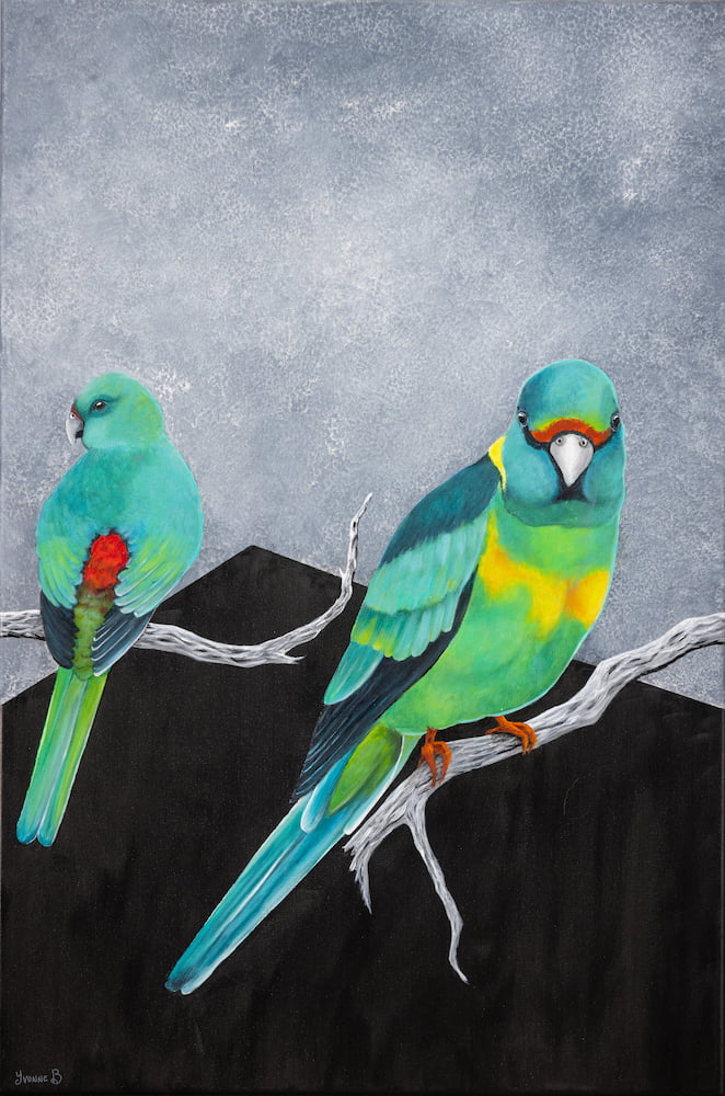 Painting of two Red-Rumped Parrots sitting on branches.